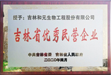 吉林省优秀民营企业.jpg