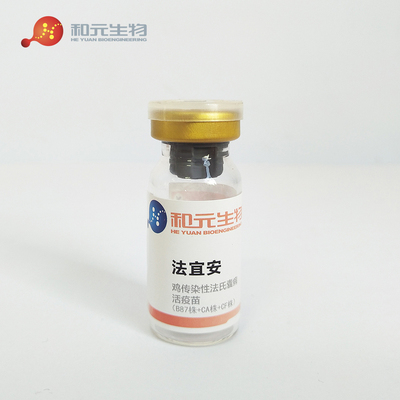 鸡传染性法氏囊病活疫苗(B87株+CA株+CF株)