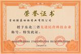 荣誉证书 (2).jpg