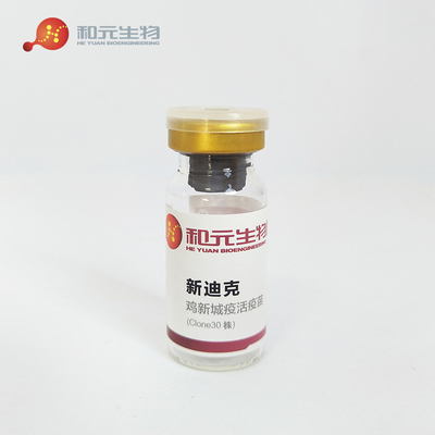 鸡新城疫活疫苗（Clone 30 株）